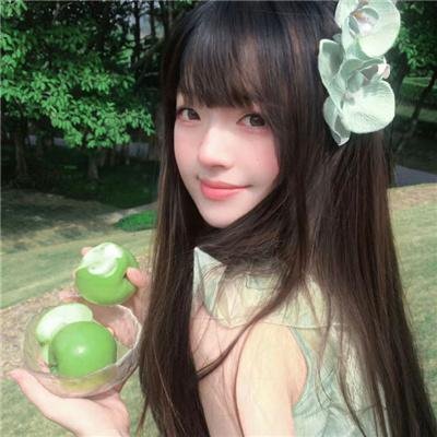三角草的春天 高清视频